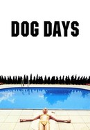 Dog Days poster image