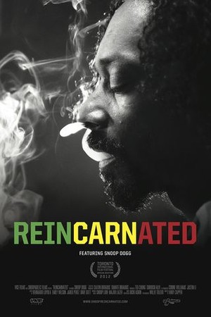 Reincarnated poster