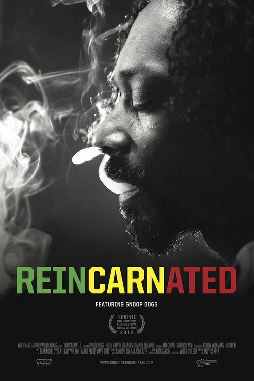 Reincarnated poster