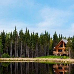 We all want to live in a log cabin with Luke. : r/NYYankees