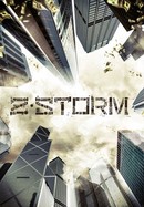 Z Storm poster image