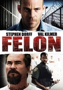 Felon poster image