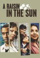 A Raisin in the Sun