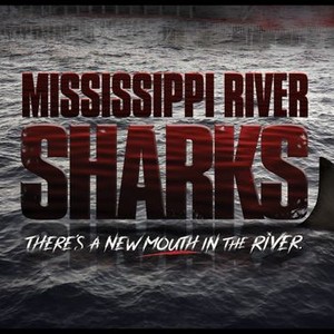 "Mississippi River Sharks photo 1"
