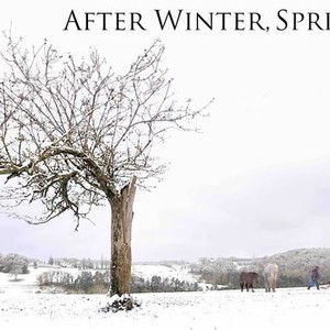 Download After Winter Spring 2012 Rotten Tomatoes