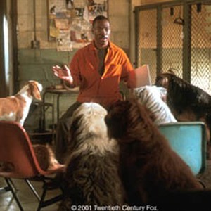 Dolittle (EDDIE MURPHY) and some four-legged friends hatch a plot to save a wilderness. photo 6