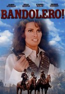 Bandolero! poster image