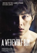 A Werewolf Boy poster image