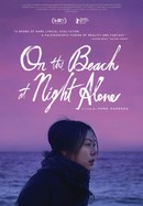On the Beach at Night Alone poster image