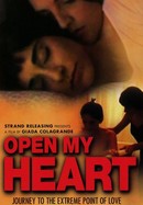 Open My Heart poster image