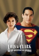 Lois & Clark: The New Adventures of Superman poster image