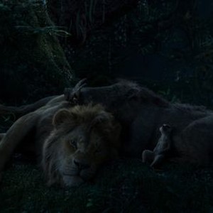 The Lion King photo 5