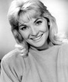 Diane Cilento
