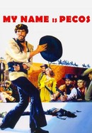 My Name Is Pecos poster image