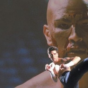 Kickboxer 4: The Aggressor photo 4