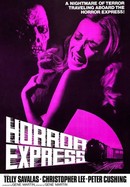 Horror Express poster image