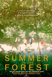 Watch trailer for Summer in the Forest