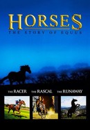 Horses: The Story of Equus poster image