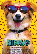 Bingo poster image