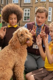 Waffle the wonder shop dog pyjamas argos