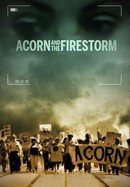 ACORN and the Firestorm poster image
