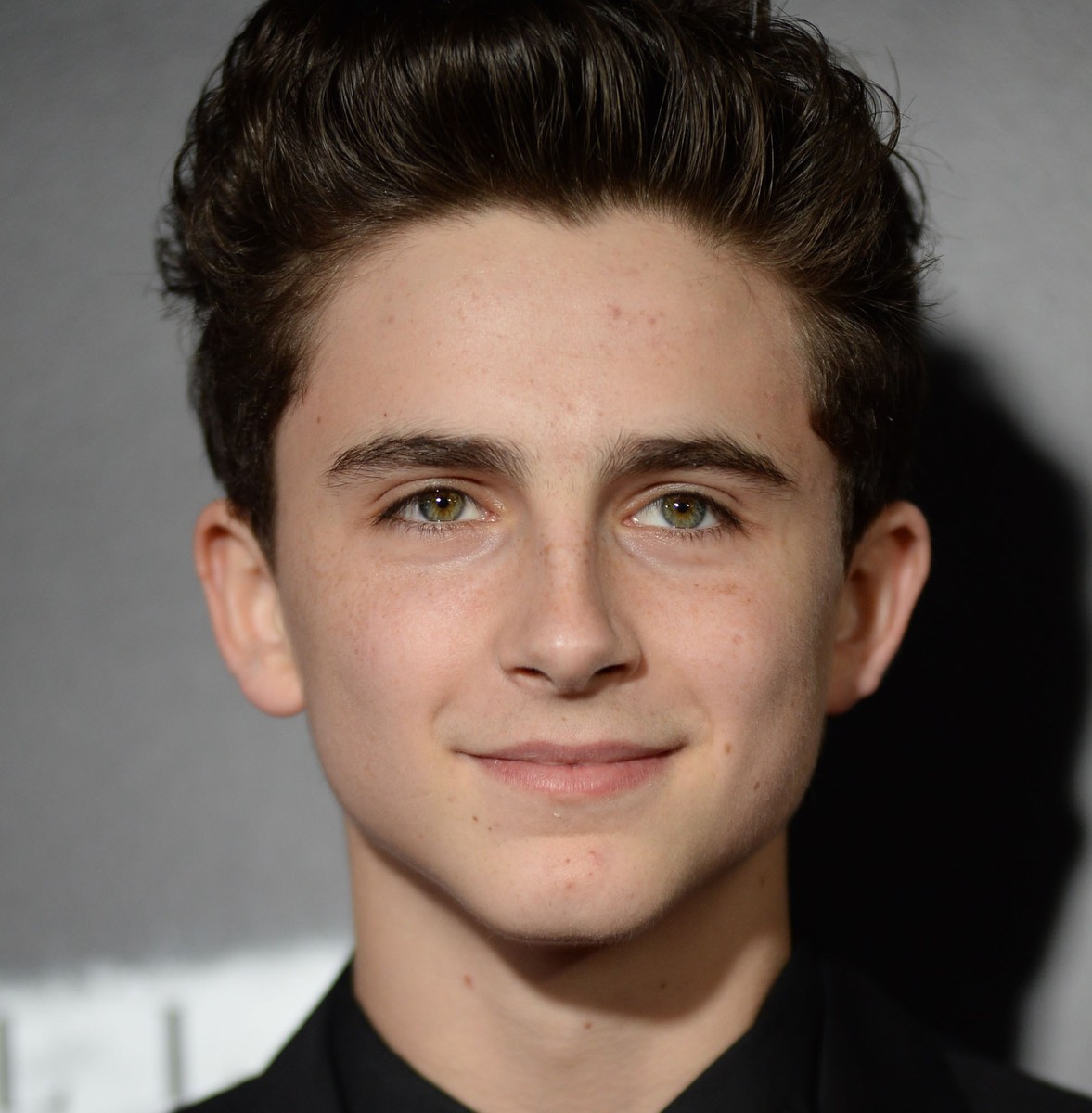 Best Timothée Chalamet Movies + Where To Watch Them 