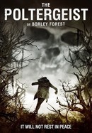 The Poltergeist of Borley Forest poster image
