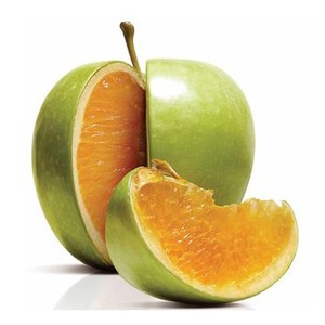Freakonomics (2010) photo 14