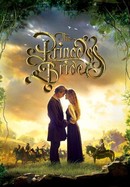 The Princess Bride poster image