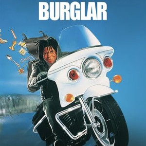 Burglar photo 2