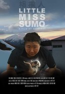 Little Miss Sumo poster image