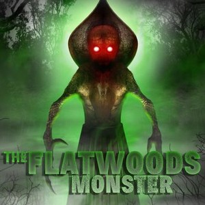 "The Flatwoods Monster photo 4"