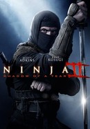 Ninja II: Shadow of a Tear poster image