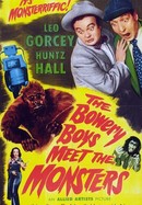 The Bowery Boys Meet the Monsters poster image