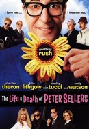 The Life and Death of Peter Sellers poster image