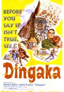 Dingaka poster image