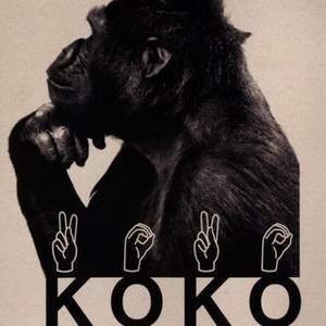 Koko: A Talking Gorilla (1978) photo 9