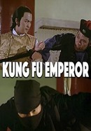 Kung Fu Emperor poster image