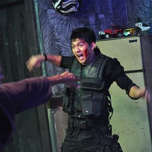 The Raid Redemption Rotten Tomatoes