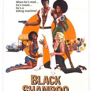 Black Shampoo (1976) photo 10