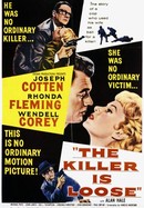 The Killer Is Loose poster image