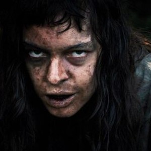 The Woman (2011)