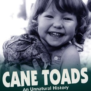Cane Toads: An Unnatural History photo 3