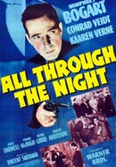 All Through the Night poster image