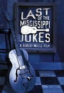Last of the Mississippi Jukes poster image