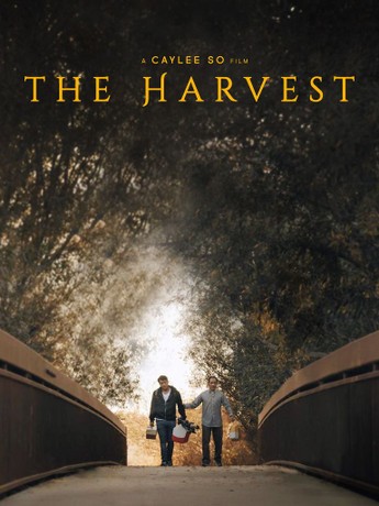 The Harvest (2025) | Rotten Tomatoes