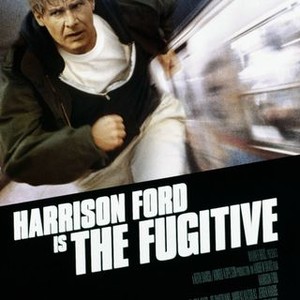The Fugitive (1993) photo 2