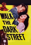 Walk the Dark Street poster image