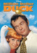$1,000,000 Duck poster image