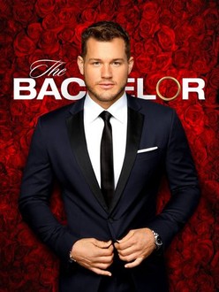 The bachelor season hotsell 23 episode 7 full